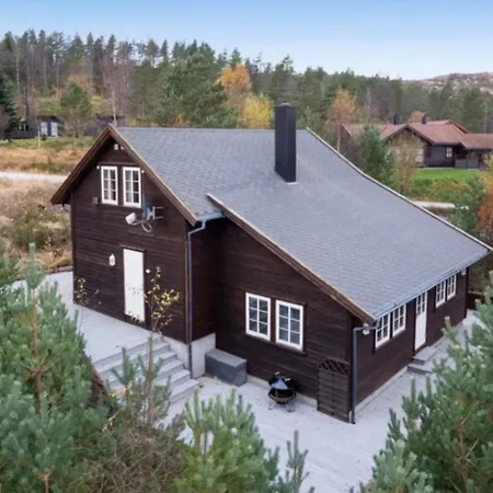 Mountain In Snodalen With Fireplace Kvinlog