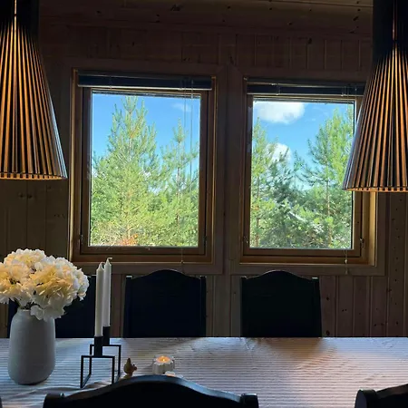 Mountain In Snodalen With Fireplace *