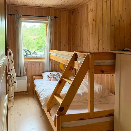 Mountain In Snodalen With Fireplace *
