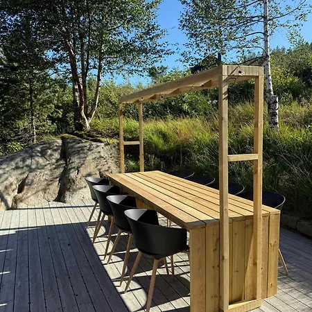 Mountain In Snodalen With Fireplace